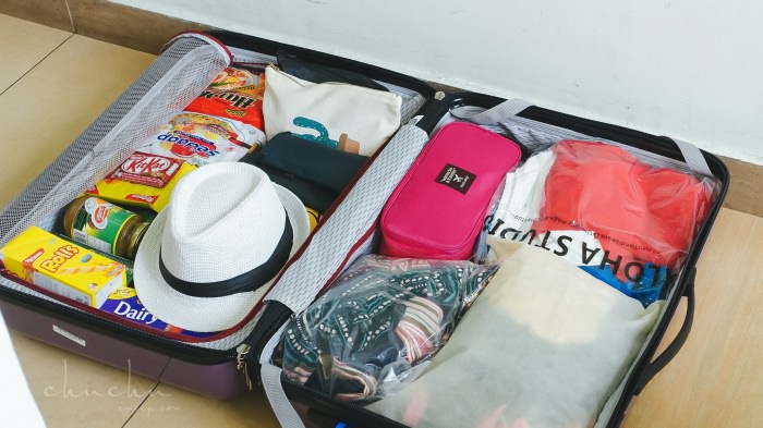 行李箱推薦,法國行李箱,海島行李箱,紫色行李箱,行李箱收納