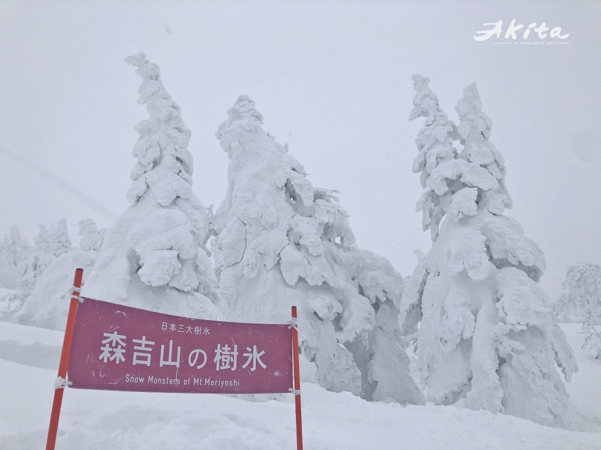 日本秋田｜三大樹冰之一：冬季限定森吉山樹冰。和秋田犬合照超萌超可愛